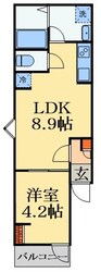 COLORIDO本千葉の物件間取画像